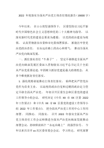 20XX年度落实全面从严治党主体责任情况报告19000字