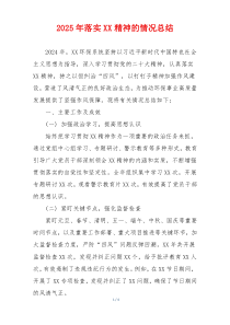 2025年落实XX精神的情况总结