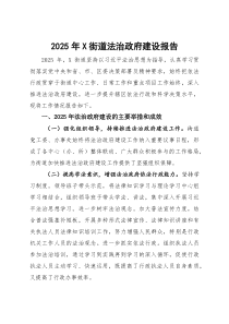 2025年街道法治政府建设报告(参考)