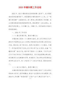 2025年镇妇联工作总结