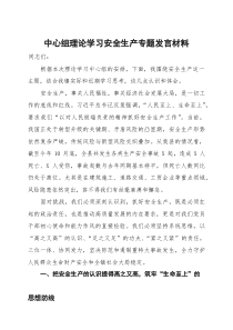 中心组理论学习安全生产专题发言材料(参考)