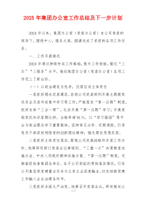 2025年集团办公室工作总结及下一步计划