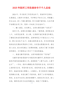 2025年驻村工作队综治专干个人总结