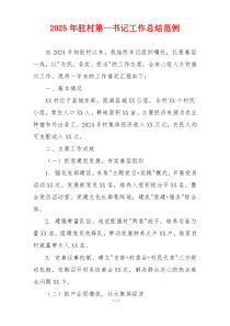 2025年驻村第一书记工作总结范例