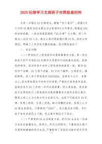 2025纪律学习支部班子对照检查材料