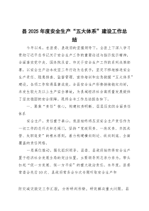 县2025年度安全生产“五大体系”建设工作总结(参考)