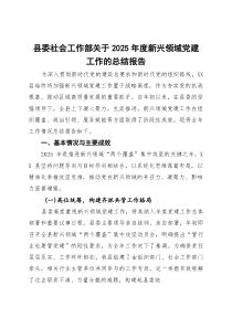 县委社会工作部关于2025年度新兴领域党建工作的总结报告(参考)