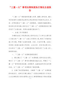 “三重一大”事项决策制度执行情况自查报告