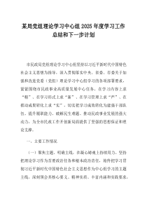 某局党组理论学习中心组2025年度学习工作总结和下一步计划(资料)