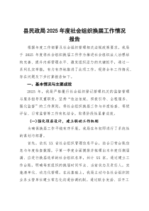 县民政局2025年度社会组织换届工作情况报告(参考)