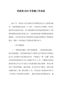 民政局2025年党建工作总结(资料)