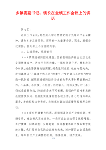 乡镇委副书记、镇长在全镇工作会议上的讲话