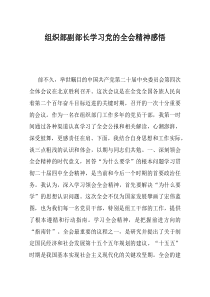 组织部副部长学习党的全会精神感悟(资料)