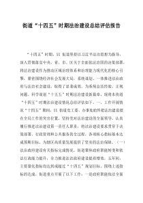 街道十四五时期法治建设总结评估报告(资料)