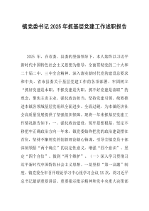 镇党委书记2025年抓基层党建工作述职报告(资料)