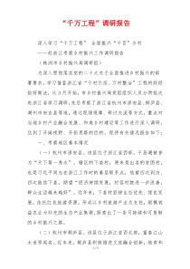“千万工程”调研报告