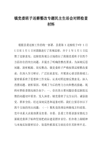 镇党委班子巡察整改专题民主生活会对照检查材料(资料)