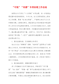 “可视”“有感”专项治理工作总结