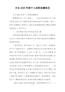 乡长2025年度个人述职述廉报告