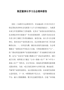 集团董事长学习全会精神感悟(资料)