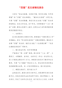 “四强”党支部情况报告