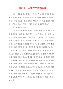 “回头看”工作开展情况汇报