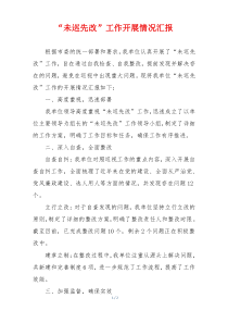 “未巡先改”工作开展情况汇报