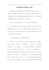 5篇经济责任审计报告范文