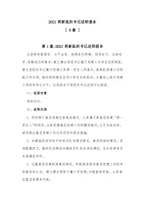 6篇20XX两新组织书记述职报告