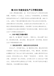 镇2025年度安全生产工作情况报告(参考)