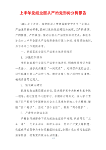 上半年党组全面从严治党形势分析报告