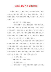 上半年全面从严治党情况报告