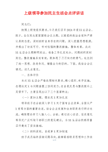 上级领导参加民主生活会点评讲话