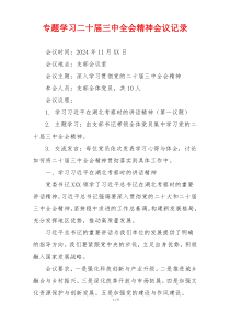 专题学习二十届三中全会精神会议记录