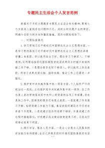 专题民主生活会个人发言范例