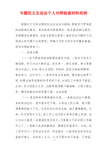 专题民主生活会个人对照检查材料范例
