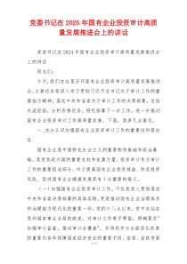 党委书记在2025年国有企业投资审计高质量发展推进会上的讲话