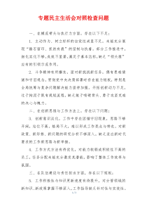 专题民主生活会对照检查问题