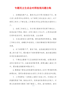 专题民主生活会对照检视问题台账