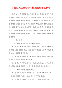 专题组织生活会个人检视剖析情况报告