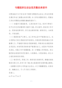 专题组织生活会党员整改承诺书