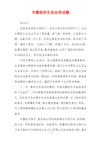 专题组织生活会讲话稿