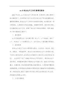 xx乡安全生产工作开展情况报告