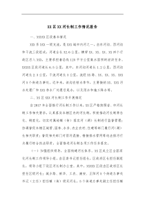 XX区XX河长制工作情况报告