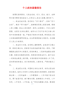 个人政治画像报告