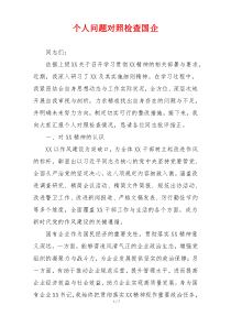 个人问题对照检查国企