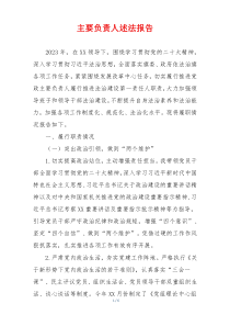 主要负责人述法报告