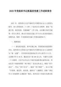2025年党组织书记抓基层党建工作述职报告(材料)