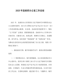 2025年县政府办公室工作总结(材料)