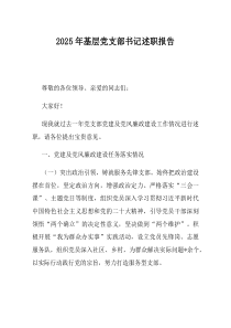 2025年基层党支部书记述职报告(材料)